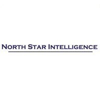 North Star Intelligence, LLC logo, North Star Intelligence, LLC contact details