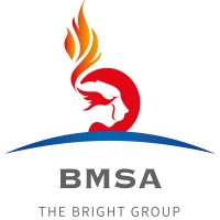 The Bright Group logo, The Bright Group contact details