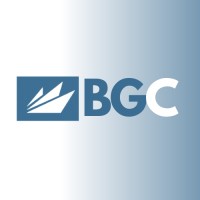 BridgeGroup Consultants logo, BridgeGroup Consultants contact details