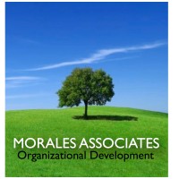 Morales Associates logo, Morales Associates contact details