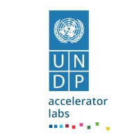 UNDP Accelerator Labs logo, UNDP Accelerator Labs contact details