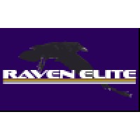 Raven Elite Consulting logo, Raven Elite Consulting contact details