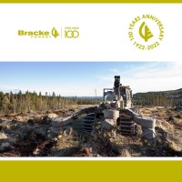 Bracke Forest AB logo, Bracke Forest AB contact details