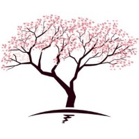 Peach Tree Commercial Capital logo, Peach Tree Commercial Capital contact details