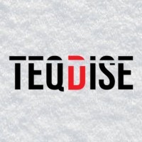 Teqdise Pvt Ltd logo, Teqdise Pvt Ltd contact details