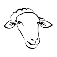 Sheep Milk New Zealand logo, Sheep Milk New Zealand contact details