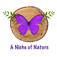 A Niche of Nature logo, A Niche of Nature contact details