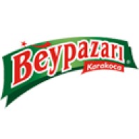 Beypazarı Doğal Maden Suyu logo, Beypazarı Doğal Maden Suyu contact details