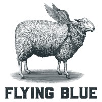 Flying Blue Imports logo, Flying Blue Imports contact details