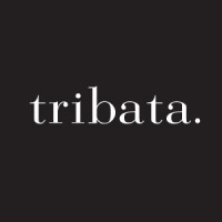 Tribata Group logo, Tribata Group contact details