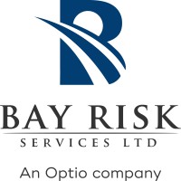 BAY RISK SERVICES LTD logo, BAY RISK SERVICES LTD contact details