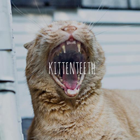 kittenteeth logo, kittenteeth contact details