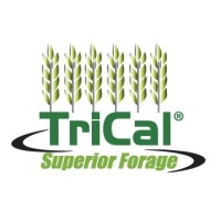 TriCal Superior Forage of Northern Agri Brands, LLC. logo, TriCal Superior Forage of Northern Agri Brands, LLC. contact details