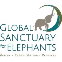 Global Sanctuary for Elephants logo, Global Sanctuary for Elephants contact details