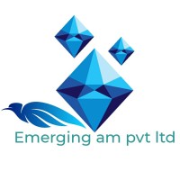 EMERGING AM PVT LTD logo, EMERGING AM PVT LTD contact details