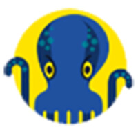 JetOctopus.com logo, JetOctopus.com contact details