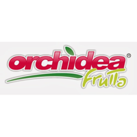 Orchidea Frutta Srl logo, Orchidea Frutta Srl contact details