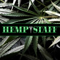 HempStaff logo, HempStaff contact details