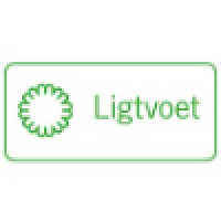 Ligtvoet BV logo, Ligtvoet BV contact details