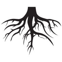 New Roots Consulting, LLC. logo, New Roots Consulting, LLC. contact details