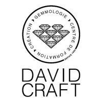 David Craft Geneva logo, David Craft Geneva contact details