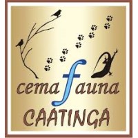 Centro de Conservação e Manejo de Fauna da Caatinga logo, Centro de Conservação e Manejo de Fauna da Caatinga contact details