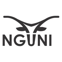 Nguni Parking Solutions logo, Nguni Parking Solutions contact details