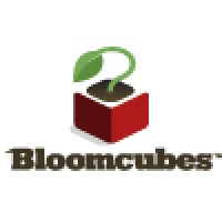 Bloomcubes logo, Bloomcubes contact details