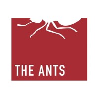 THE ANTS logo, THE ANTS contact details