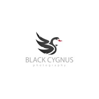 Black Cygnus Limited logo, Black Cygnus Limited contact details