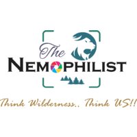 The Nemophilist India logo, The Nemophilist India contact details