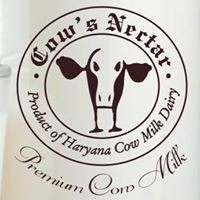 Haryana Cow milk dairy logo, Haryana Cow milk dairy contact details