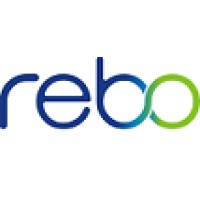 Rebo Lighting & Electronics, LLC logo, Rebo Lighting & Electronics, LLC contact details