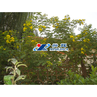 Shandong Xinghui Chemical Co., Ltd. logo, Shandong Xinghui Chemical Co., Ltd. contact details