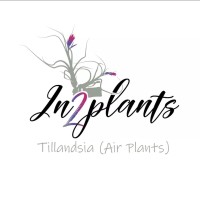 In2Plants Western Cape logo, In2Plants Western Cape contact details