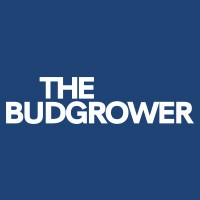 The Budgrower logo, The Budgrower contact details