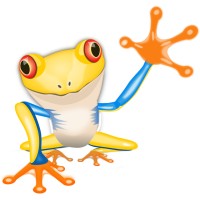 Agence de Stratégie Web Froggy'Net logo, Agence de Stratégie Web Froggy'Net contact details