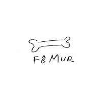 FêMur logo, FêMur contact details