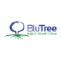 BluTree Advantage LLC logo, BluTree Advantage LLC contact details