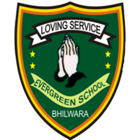 EVERGREEN PUBLIC SCHOOL, BHILWARA logo, EVERGREEN PUBLIC SCHOOL, BHILWARA contact details