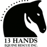 13 Hands Equine Rescue logo, 13 Hands Equine Rescue contact details