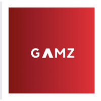 Gamz LLC logo, Gamz LLC contact details