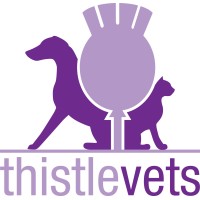 Thistle Vets logo, Thistle Vets contact details