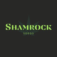 Shamrock Seeds logo, Shamrock Seeds contact details