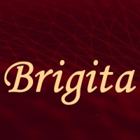 Brigita Solutions Pvt Ltd logo, Brigita Solutions Pvt Ltd contact details