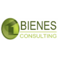 Bienes Consulting logo, Bienes Consulting contact details