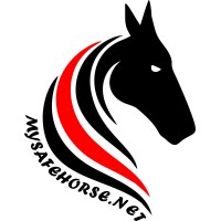 My Safe Horse logo, My Safe Horse contact details