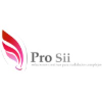 Prosii Grupo Empresarial logo, Prosii Grupo Empresarial contact details