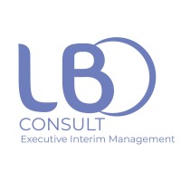 LBO CONSULT logo, LBO CONSULT contact details