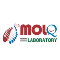 MolQ laboratory logo, MolQ laboratory contact details